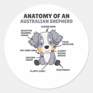 Sticker Rond Anatomie D'Un Berger Australien Chiens Doux