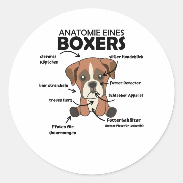 Sticker Rond Anatomie D'Un Chien Doux Boxer Chien Chien Chien C (Devant)