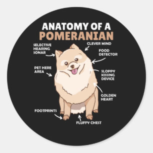 Sticker Rond Anatomie D'Un Chien Poméranien Maigre Chien Chien 