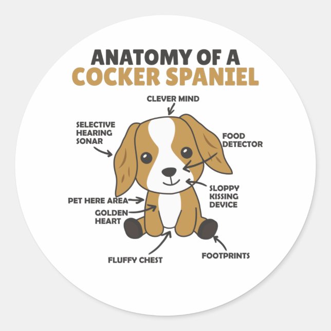 Sticker Rond Anatomie D'Un Cocker Spaniel Cute Chiens Chiot (Devant)