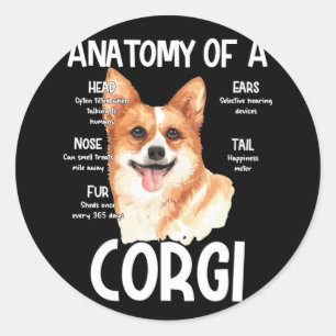 Sticker Rond Anatomie D'Un Corgi Pour Amoureux de les chiens