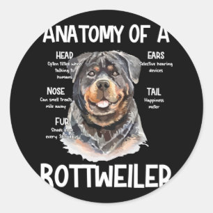 Sticker Rond Anatomie D'Un Rottweiler Pour Les Amoureux de les 