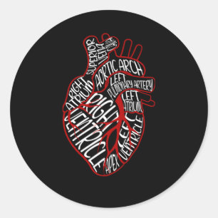 Sticker Rond Anatomique Il Médicale P De Lui Pour Cardiologue