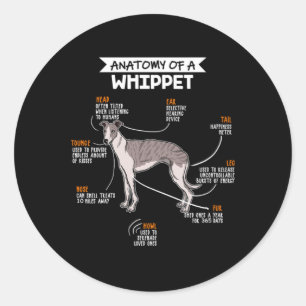Sticker Rond Anatomy Of A Whippet Dog