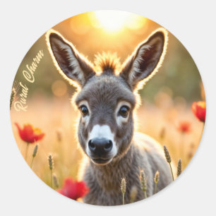 Sticker Rond Âne de campagne yeux curieux art paisible