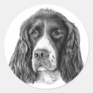 Sticker Rond Anglais Springer Spaniel