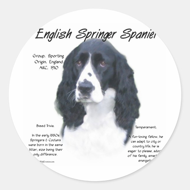 Sticker Rond Anglais Springer Spaniel (noir) Histoire Design (Devant)