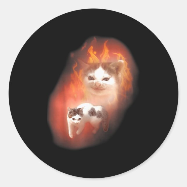 Sticker Rond Angry Cat Meme Funny Silly Cat Kitten Lover Humor  (Devant)