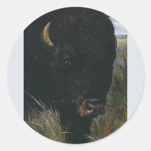 Sticker Rond Animal sauvage vintage, buffle ou bison d'Amérique