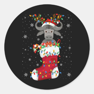 Sticker Rond Animaux Buffalo De Santa Hat En Chaussettes Lumièr