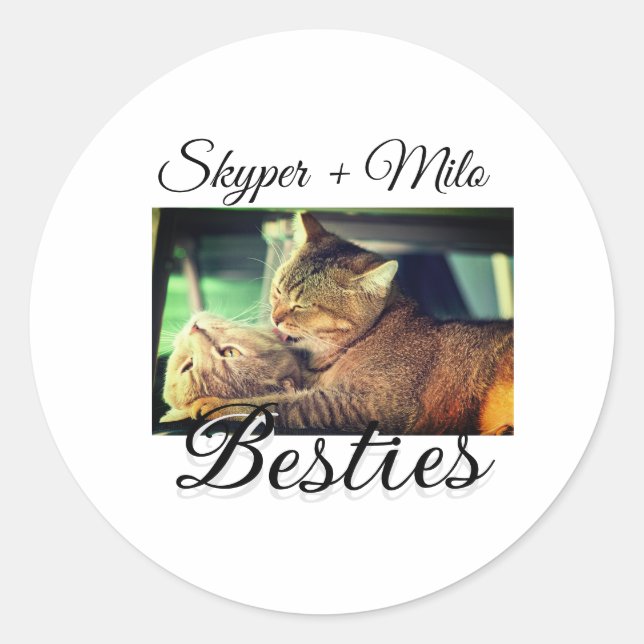 Sticker Rond Animaux de compagnie amis besties ajouter nom anim (Devant)