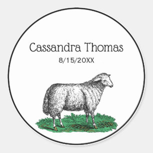 Sticker Rond Animaux de ferme vintages de mouton Ewe Dessin C