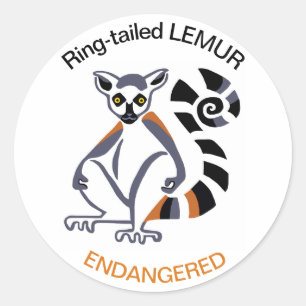 Sticker Rond Animaux sauvages - LEMUR à queue annelée - Nature 