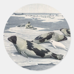 Sticker Rond Animaux sauvages vintage, phoques de l'Arctique su