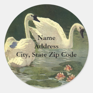 Sticker Rond Animaux sauvages vintages Oiseaux, Cygnes blancs v