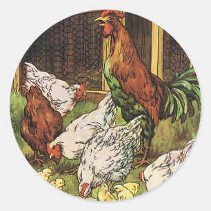 Sticker Rond Animaux vintages, Coq, Poules, Poulets