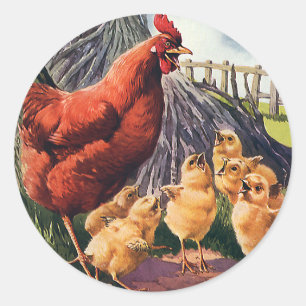 Sticker Rond Animaux vintages, poulets avec bébés à la ferme