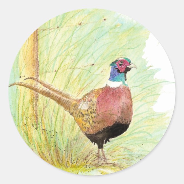 Sticker Rond Anneau Necked Pheasant Oiseau, Faune, Nature (Devant)