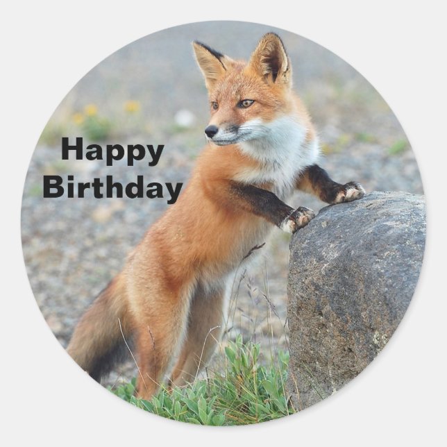 Sticker Rond Anniversaire de la Renard rouge debout (Devant)