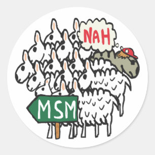 Sticker Rond Anti MSM