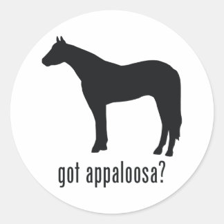Sticker Rond Appaloosa