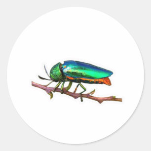 Sticker Rond « Apportez la fraîcheur des montagnes tropicales à
