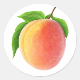 Sticker Rond Apricot frais