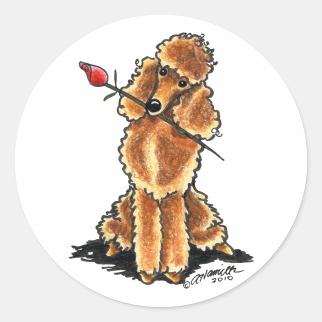Sticker Rond Apricot Poodle Coeur Valentines (Devant)