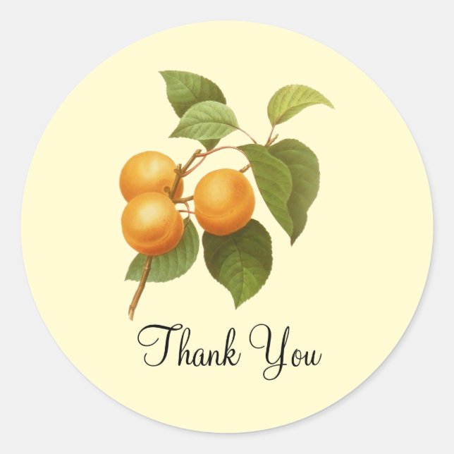 Sticker Rond Apricots orange vintage (Devant)