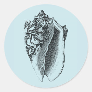 Sticker Rond Aqua Conch Shell