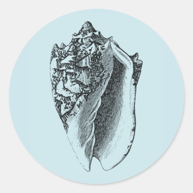 Sticker Rond Aqua Conch Shell (Devant)