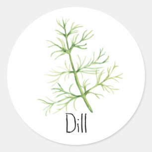 Sticker Rond Aquarelle Aneth