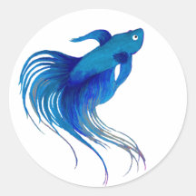Aquarelle bleu Betta Fish