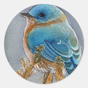 Sticker Rond Aquarelle Bluebird