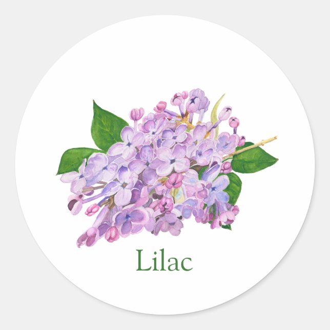 Sticker Rond Aquarelle botanique violette lilas (Devant)