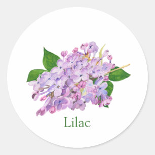 Sticker Rond Aquarelle botanique violette lilas