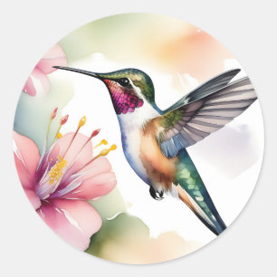 Sticker Rond Aquarelle Colibri Aux Fleurs Roses