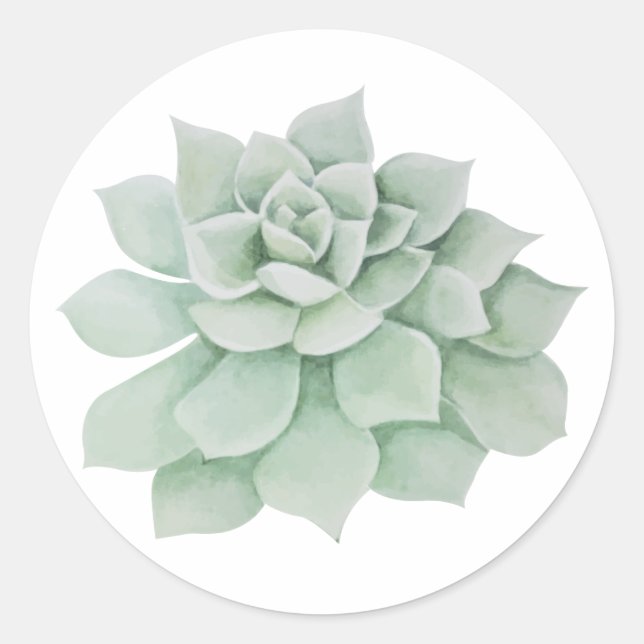 Sticker Rond Aquarelle de Cactus Succulente de l'arôme vert flo (Devant)