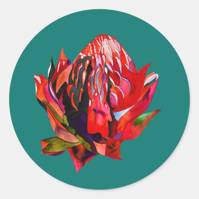 Sticker Rond Aquarelle de fleurs indigènes de Waratah (Devant)