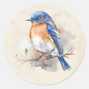 Sticker Rond Aquarelle de Little Eastern Bluebird