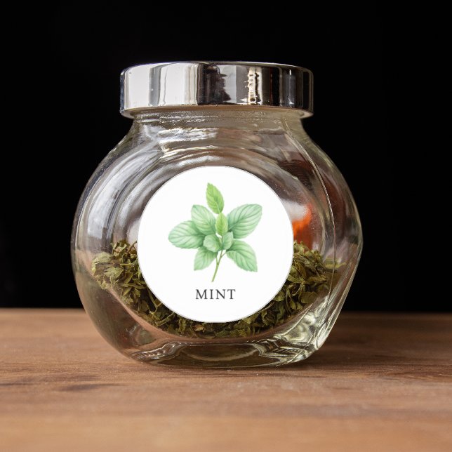 Sticker Rond Aquarelle de menthe d'herbe (Herb Mint Watercolor Classic Round Sticker)