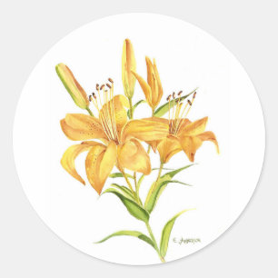 Sticker Rond Aquarelle de tigre jaune