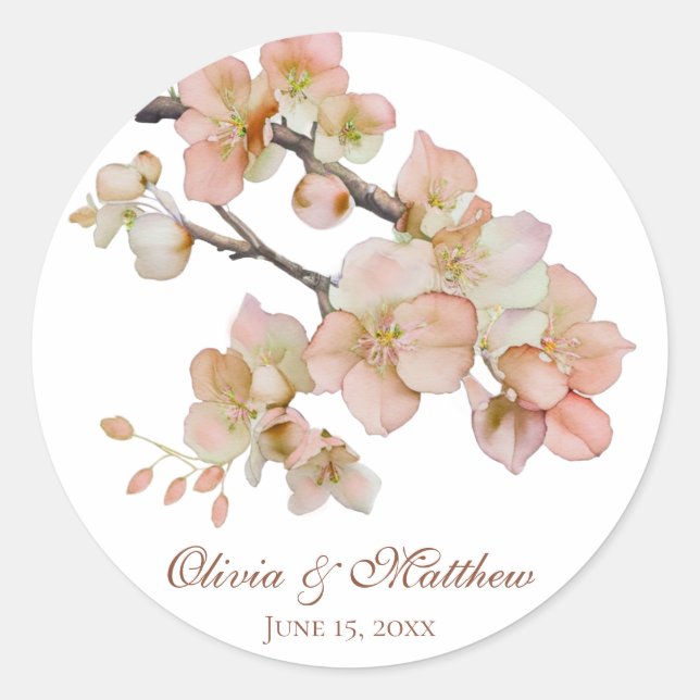 Sticker Rond Aquarelle douce rose orangé fleurs de printemps (Devant)