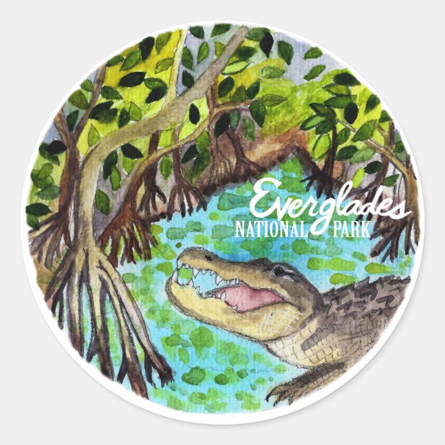 Sticker Rond Aquarelle du parc national des Everglades (Devant)