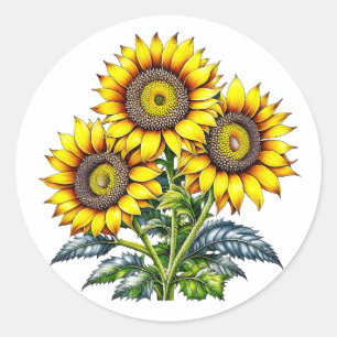 Sticker Rond Aquarelle Fleurs de soleil Floral