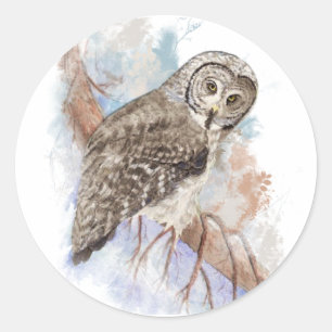 Sticker Rond Aquarelle Grande Chouette gris Oiseau Nature Art
