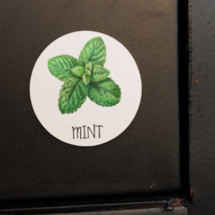Sticker Rond Aquarelle Herbe Menthe