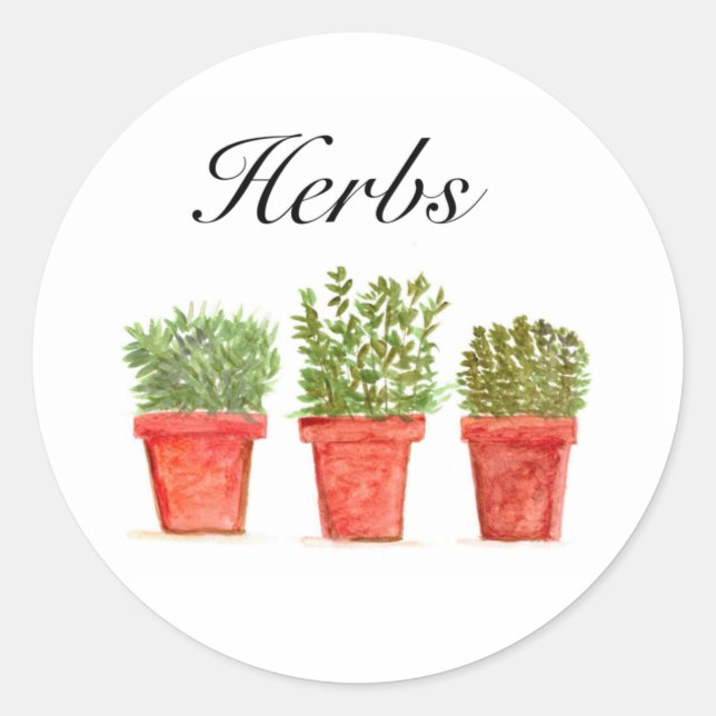 Sticker Rond Aquarelle Herbes Thyme Rosemary Oregano Pot Plante (Devant)