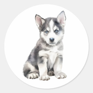 Sticker Rond Aquarelle Husky Chien