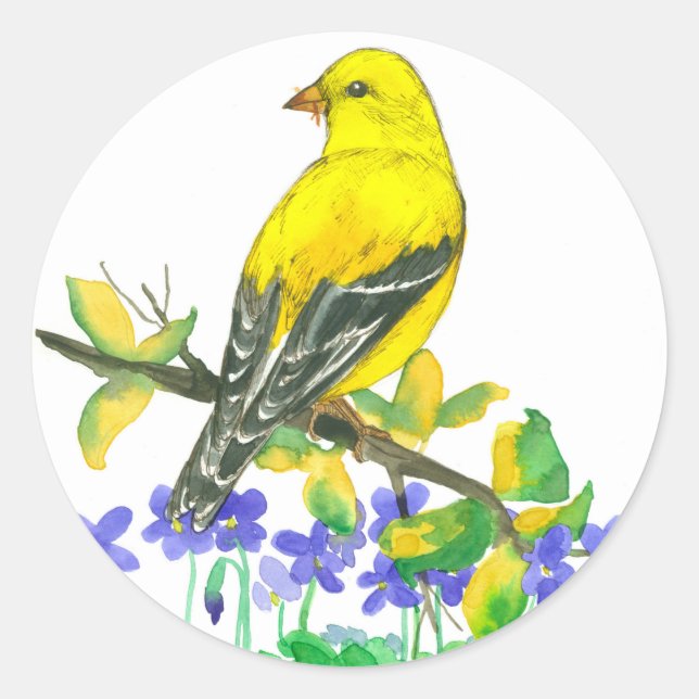 Sticker Rond Aquarelle jaune Goldfinch Violets violets (Devant)